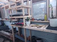 Shelving was installed using 2x4's and creating space for plant starts to sit and soak up the sun.